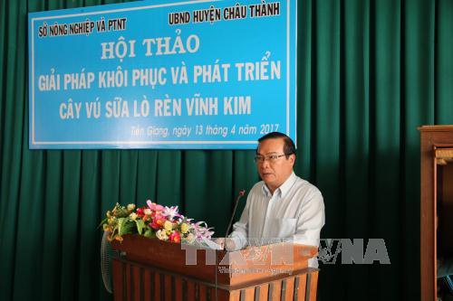 Khôi phục và phát triển cây vú sữa Lò Rèn Vĩnh Kim ảnh 1